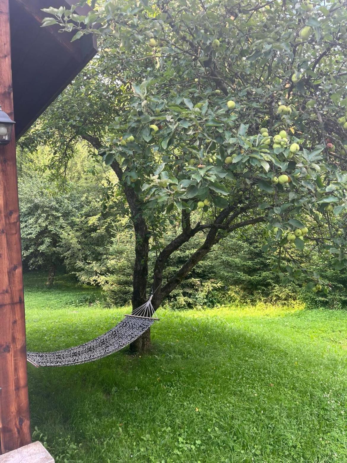 Pod Dobrym Adresem- Domek Nad Stawem Cisna Eksteriør bilde